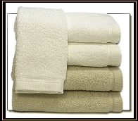 Kitchen Towel 1